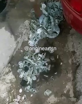 La canalisation d'un quartier de Dakar bouchée par des pré$erv@t!fs