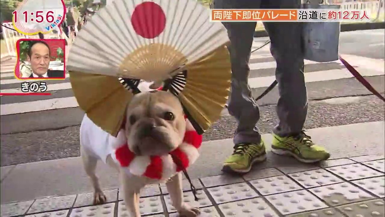 即位パレード 2019.11