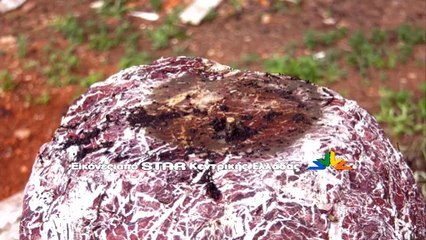 Βανδαλισμοί στα νεκροταφεία του Μαρτίνου και της Λάρυμνας