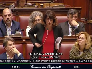 Giorgia Andreuzza - Subito un miliardo per l’emergenza Venezia (19.11.19)