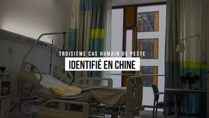 Troisième cas humain de peste identifié en Chine