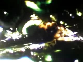 vol nubtial de la reine des abeilles