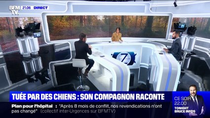 Femme enceinte tuée par des chiens: son mari témoigne - 20/11