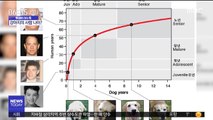 [이슈톡] '노화 시계' 적용한 강아지 나이 환산법