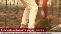 Alevlerin içine dalıp kurtardı! Sosyal medya bu videoyu konuşuyor