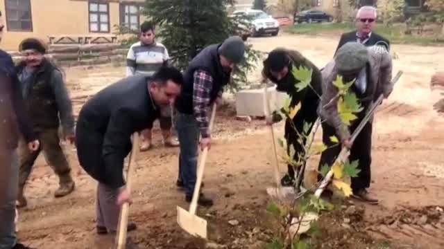 Sanatçıların köyünde, Yıldız Kenter için çınar fidanı dikildi - KONYA