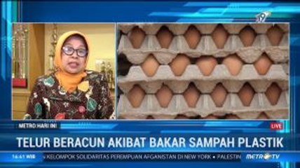 Pemprov Jamin Telur Ayam di Jawa Timur tak Beracun