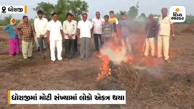 ધોરાજીમાં કમોસમી વરસાદથી નુકસાન પહોંચતા ખેડૂતોએ મગફળીનો પાક સળગાવી રેલી યોજી