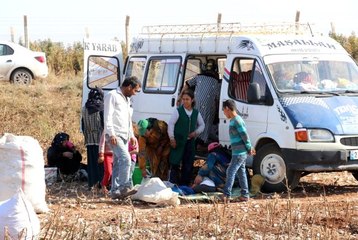 Tarlada kalan pamuk atıkları geçim kaynağı oldu