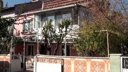 Erik ağaçları kasımda meyve verdi