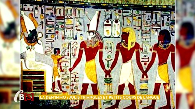 La Den'immo : jolis triangles et petits coups de langue