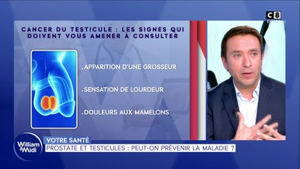 Prostate et testicules : peut-on prévenir la maladie ?