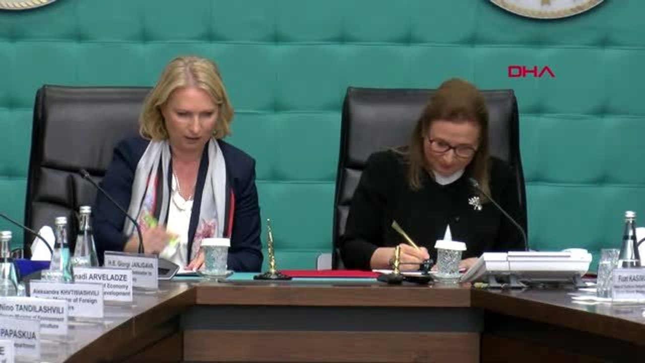 Ankara bakan pekcan gürcistan ile hedefimiz 3 milyar dolarlık ticaret