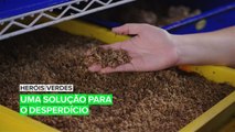 Heróis verdes: O poder dos insetos