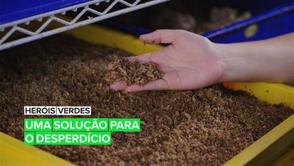 Heróis verdes: O poder dos insetos