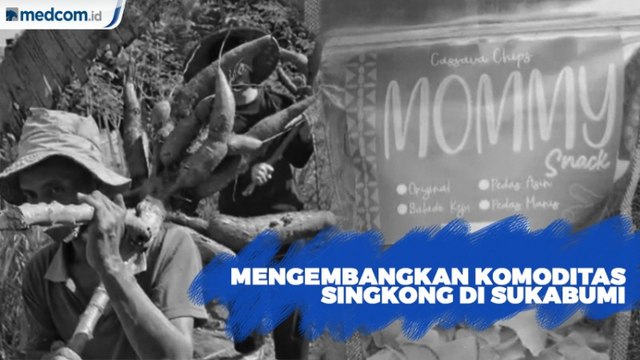 Mengembangkan Komoditas Singkong di Sukabumi
