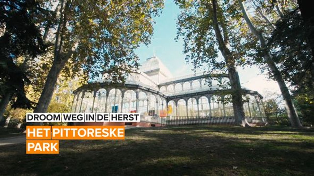 Droom weg in de herfst: het pittoreske park