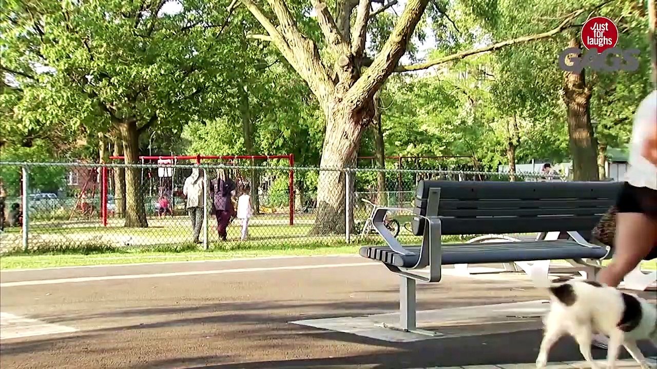 Camera Caché - Juste pour rire Les Gags