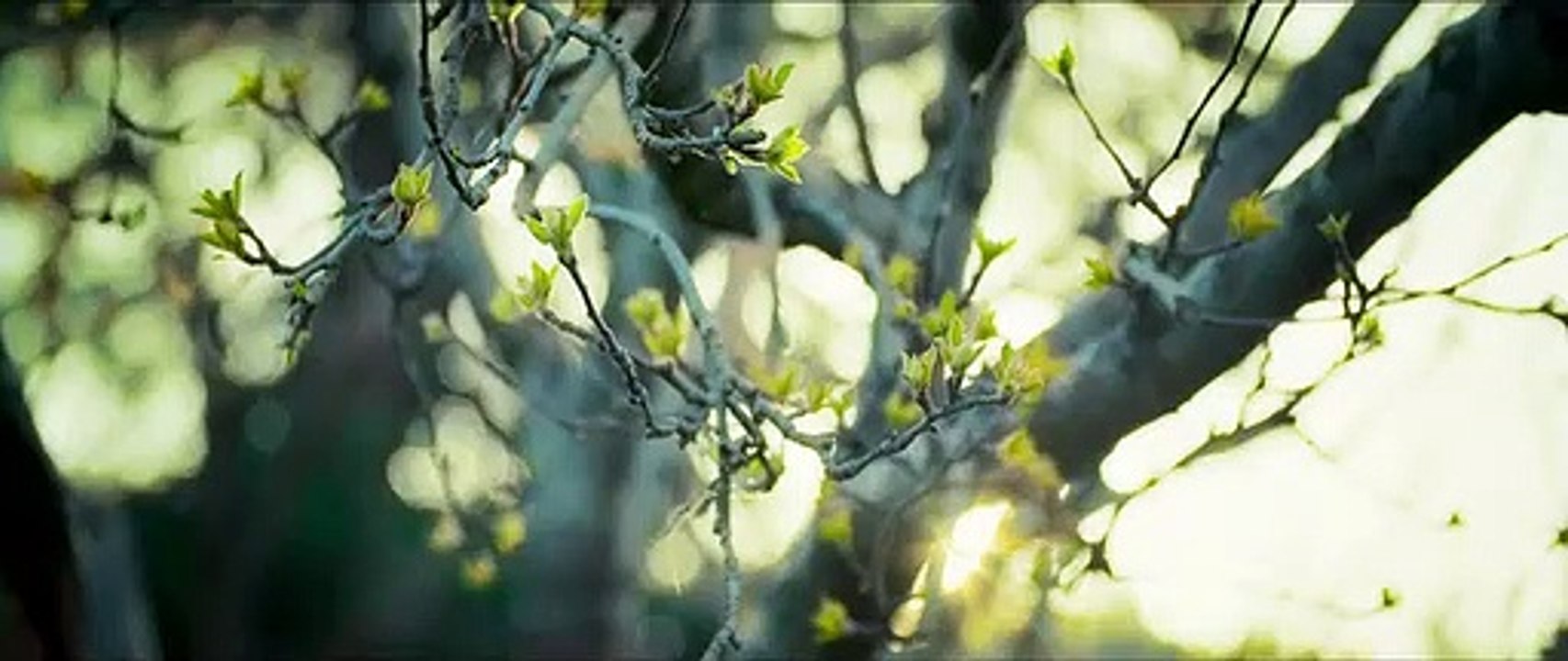 Mundina Nildana - Official Trailer I Praveen Tej, Radhika Narayan, Ananya Kashya