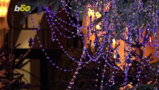 Tree-mendous! You Have to See This Christmas Tree Covered in 3,000 Swarovski Crystals