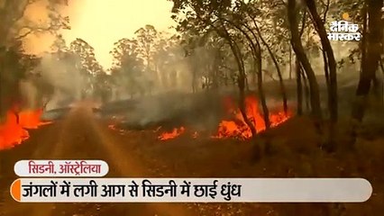 जंगलों में लगी आग से सिडनी में छाई धुंध