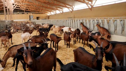 TROPHEES DE L'AGRICULTURE 2019 - Gastronomie : GAEC Rizet (Oudry)