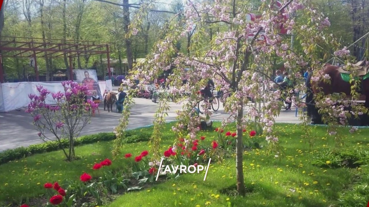 "STAVROPOL" Top 42 Tourist Places | Stavropol Tourism | RUSSIA