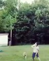 Une grosse chute d'un homme qui voulait récupérer son frisbee