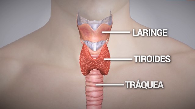 bd-cirugia-contra-cancer-de-tiroides-191119