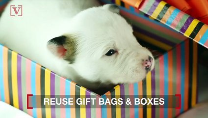 Items We Often Throw Away That We Could Be Reusing