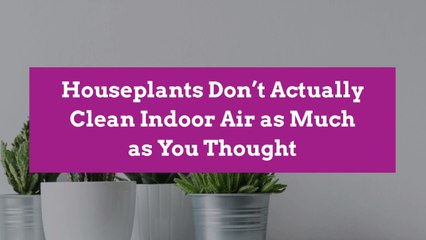 Houseplants Don’t Actually Clean Indoor Air as Much as You Thought