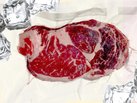 How to Quickly and Safely Thaw Anything