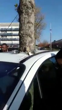 Comment cet arbre a pu se retrouver au travers d'un voiture à Nantes?