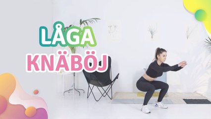 Låga knäböj - Steg för Hälsa