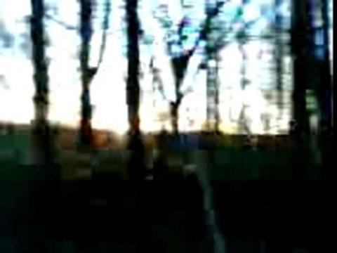 Eerste mooie dag 2008