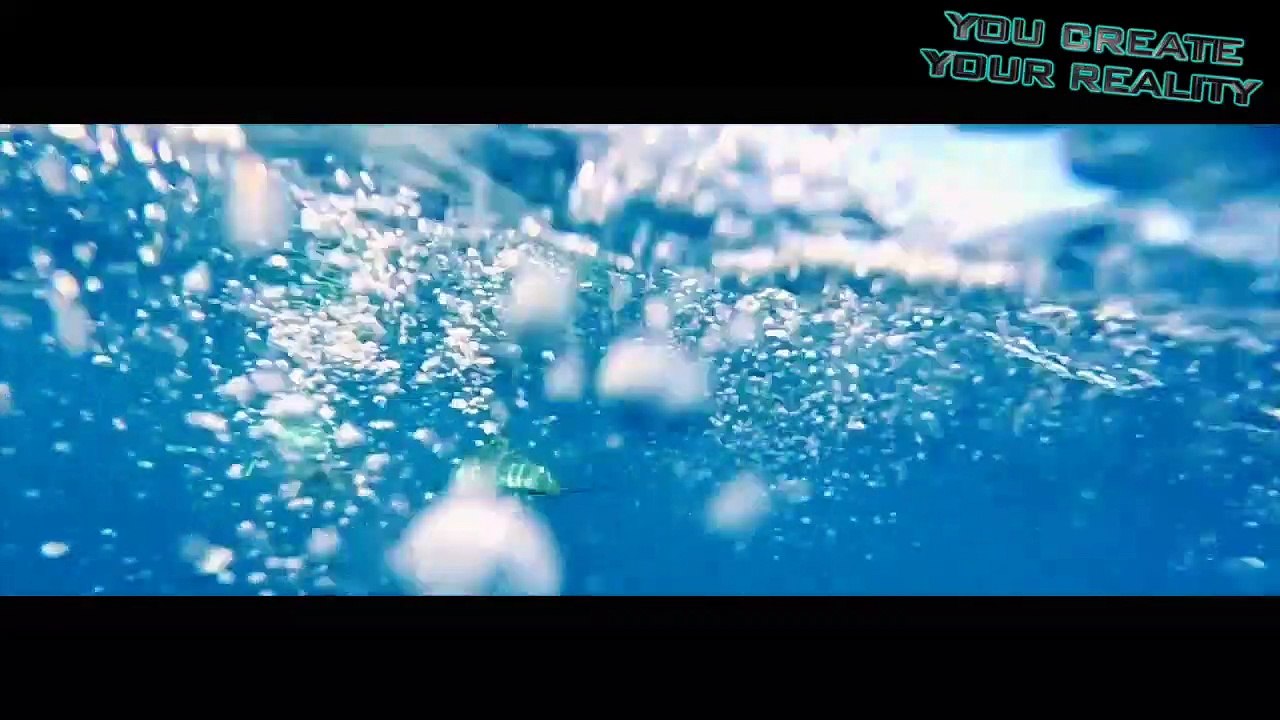 The Human Species- Who Are We_ With Neale Donald Walsch