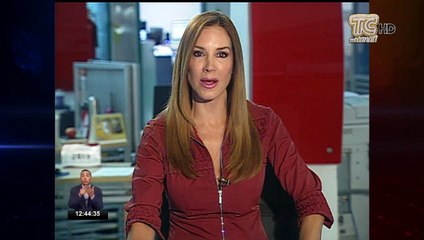 Hoy se concreta la salida del ministro de Energía, Carlos Pérez