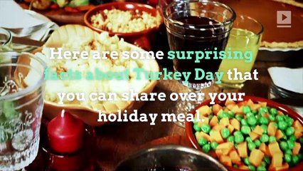 10 Thanksgiving Fun Facts You Never Knew