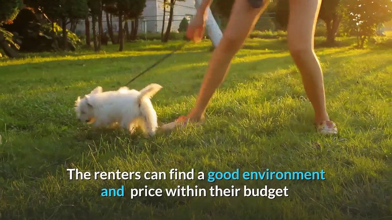 Looking For A Home That Allows Pets