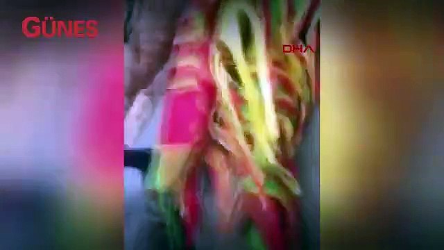 PKK'lıların yürüyüşüne tepki gösteren fransız kadından teşekkür videosu