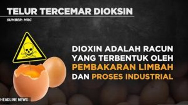 Bahaya Dioksin dalam Telur