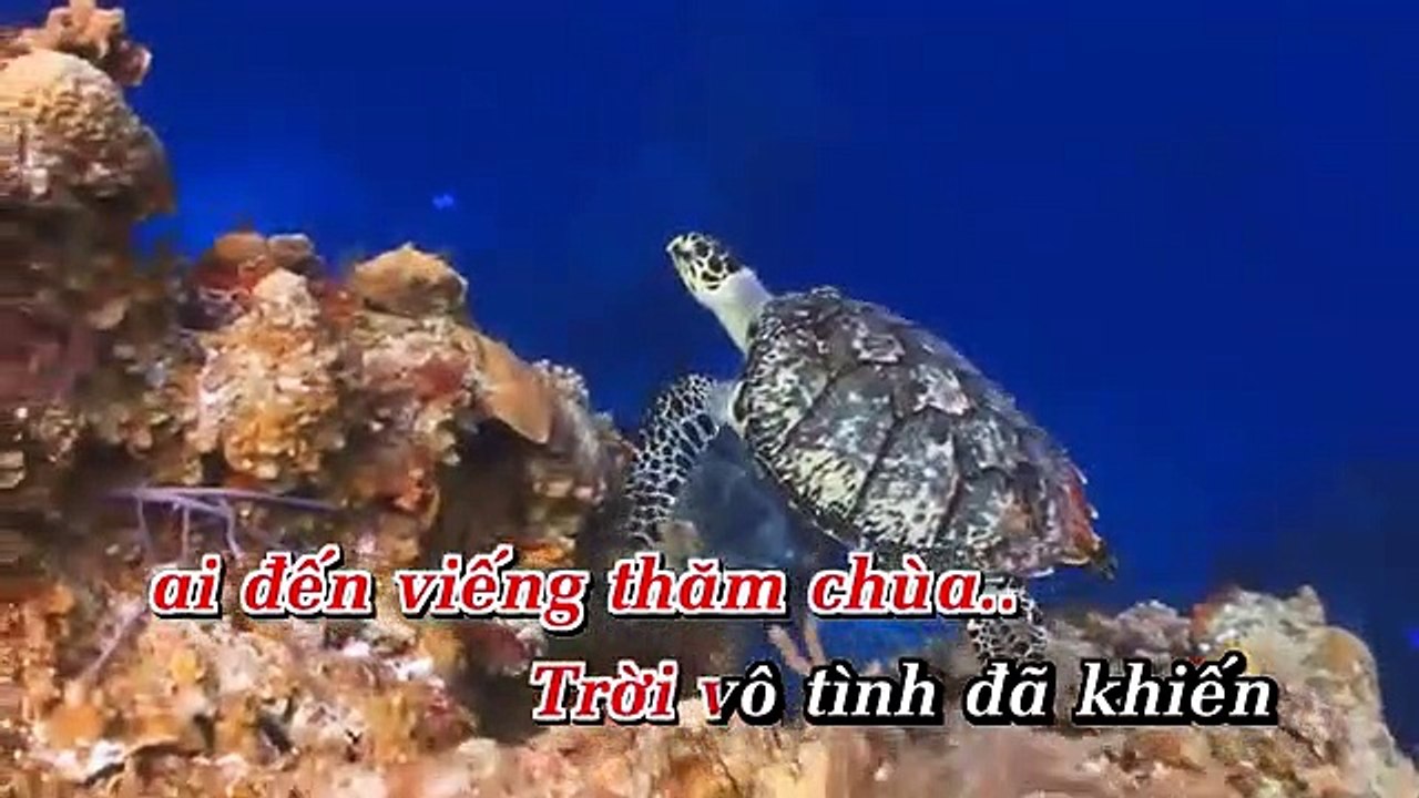 Karaoke - Lan Và Điệp 3
