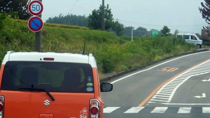 Phoning, Vaping & Driving in Japan!