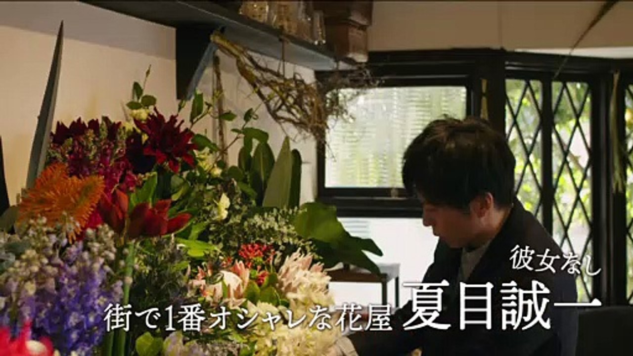 Mellow 予告編 動画 Dailymotion