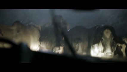 Clipe do filme O Juízo  - Pedido de ajuda