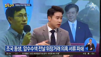 조국 동생, 압수수색 전날 위장거래 의혹 서류 파쇄