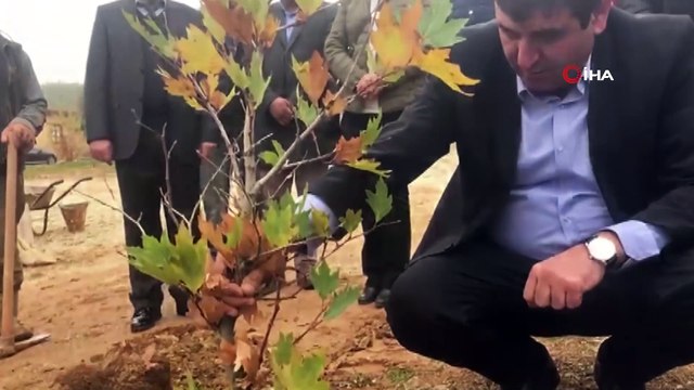 Yıldız Kenter’in adı Sonsuz Şükran Köyü'nde yaşatılacak