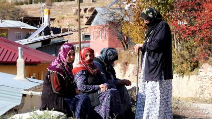 Köylüler koyun sürülerinden dertli