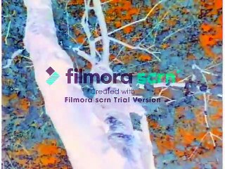 Baby Shakespeare in G Major [Part 2]