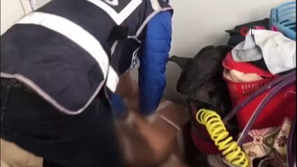 Gaziantep'te 765 şişe sahte alkol ele geçirildi